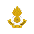103, Engineer Battalions pakistan